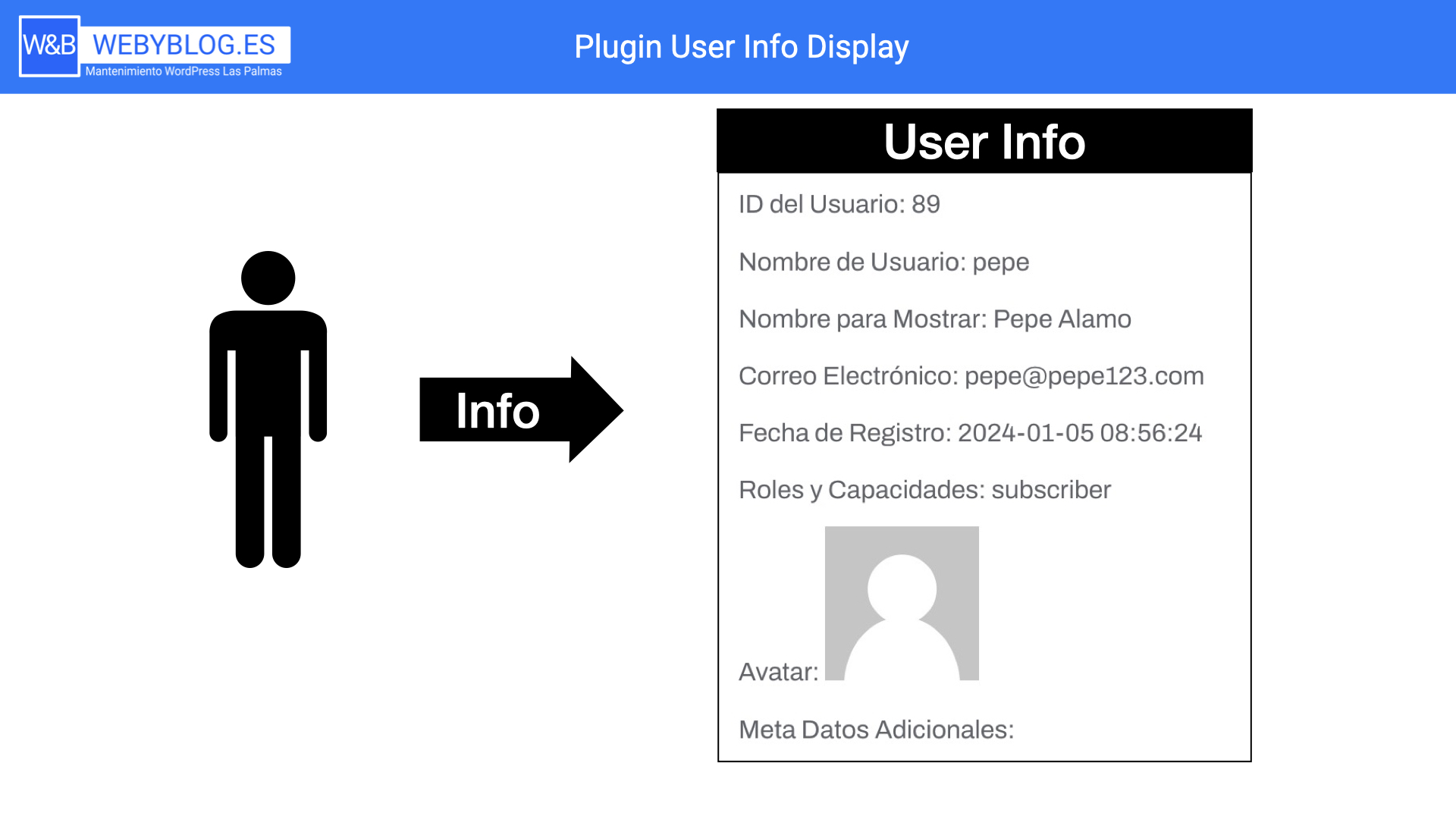 plugin user info display.001